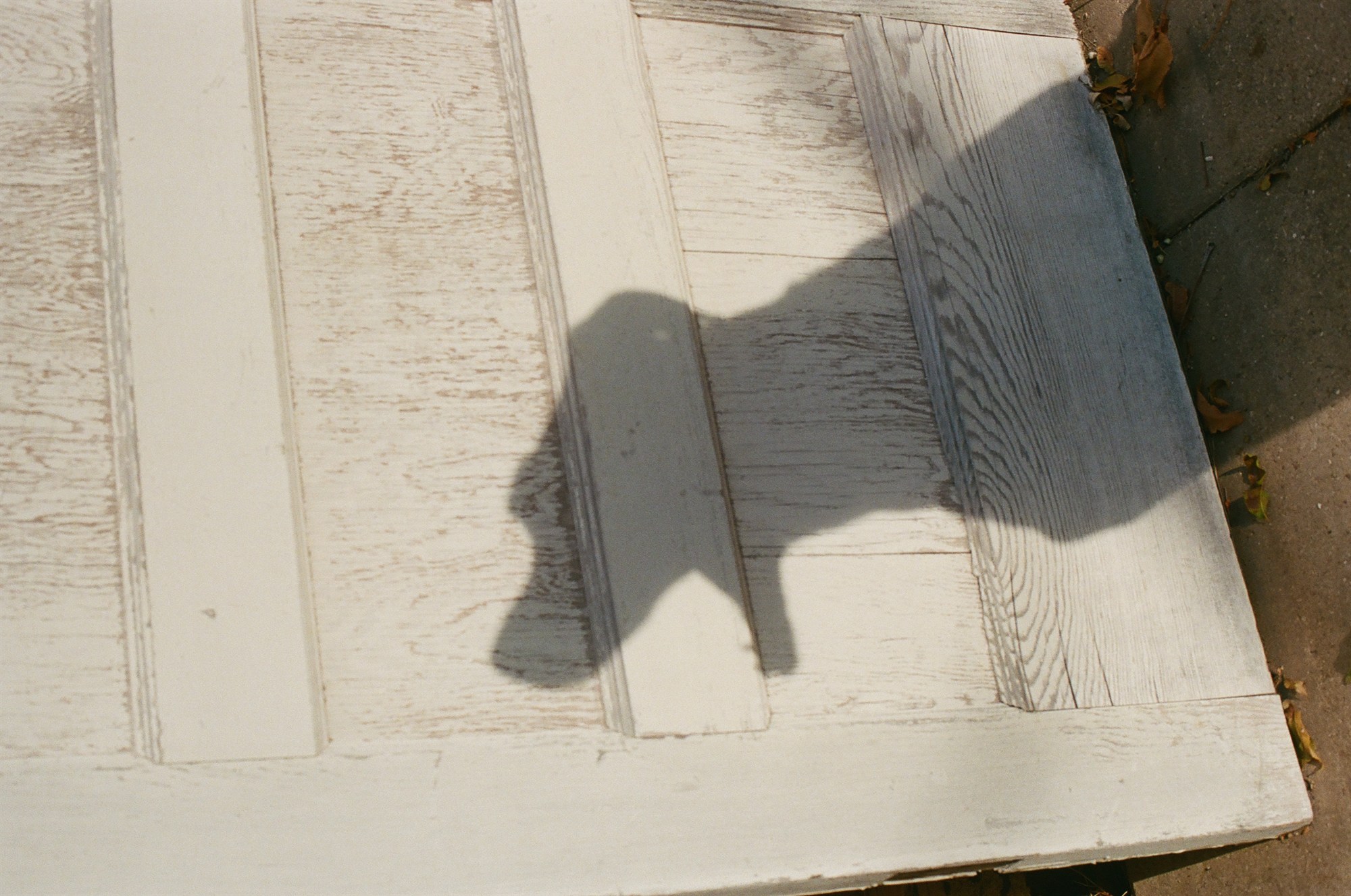 A shadow falling across a white-painted door laid in the sun